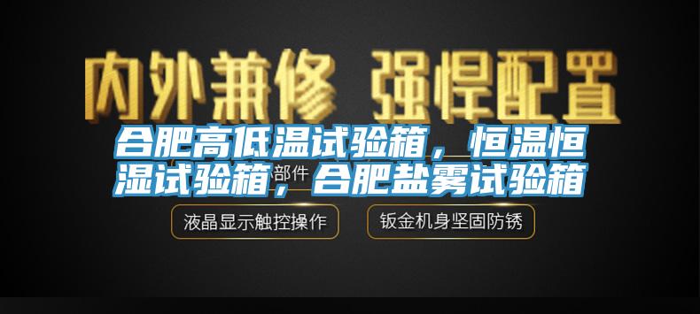 合肥高低溫試驗箱,恒溫恒濕試驗箱,合肥鹽霧試驗箱