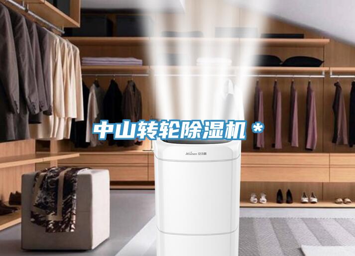 中山轉(zhuǎn)輪除濕機＊
