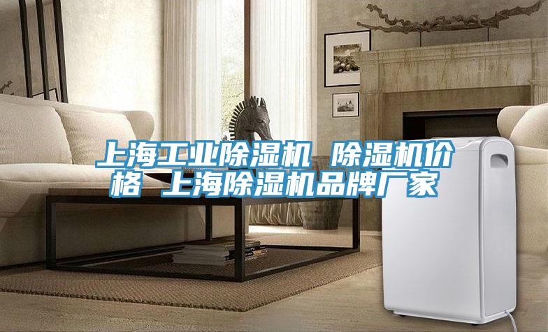 上海工業除濕機 除濕機價格 上海除濕機品牌廠家