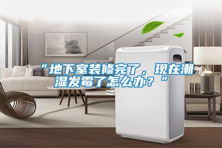 “地下室裝修完了，現在潮濕發霉了怎么辦？”