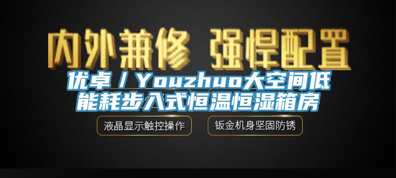 優卓/Youzhuo大空間低能耗步入式恒溫恒濕箱房