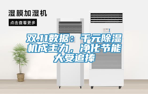 雙.11數據:千元除濕機成主力,凈化節能大受追捧