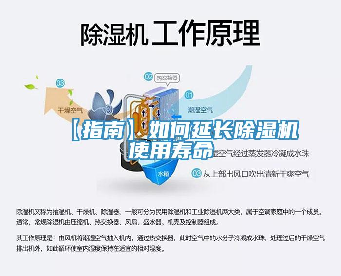 【指南】如何延長除濕機使用壽命