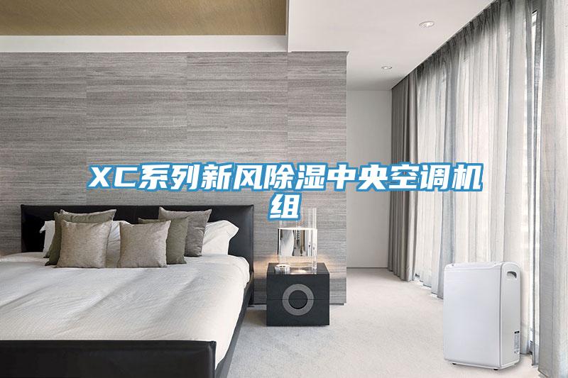 XC系列新風除濕中央空調(diào)機組