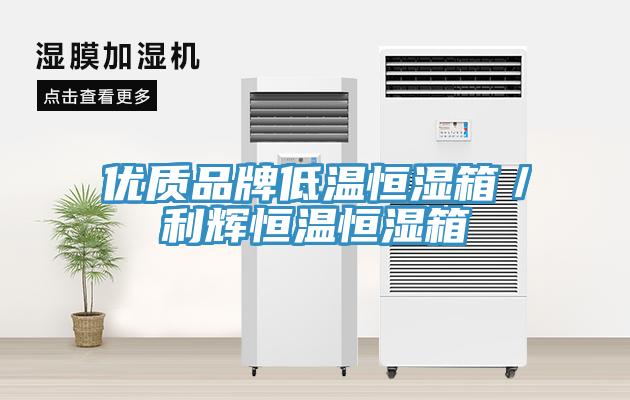 優質品牌低溫恒濕箱/利輝恒溫恒濕箱
