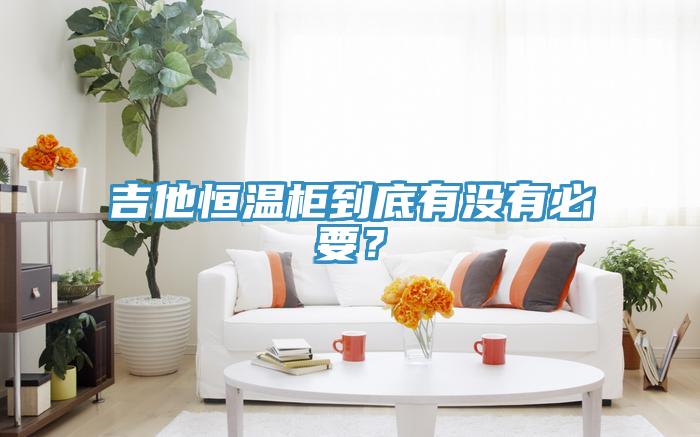 吉他恒溫柜到底有沒有必要?