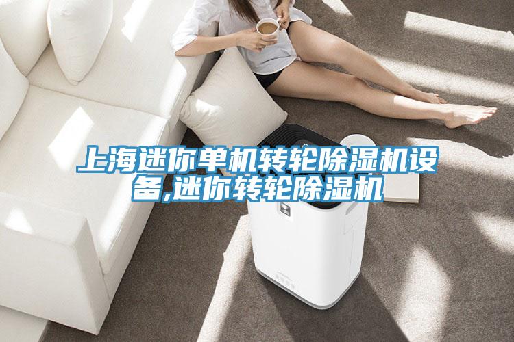 上海迷你單機轉(zhuǎn)輪除濕機設(shè)備,迷你轉(zhuǎn)輪除濕機