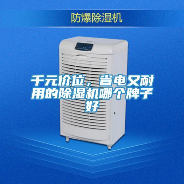 千元價位，省電又耐用的除濕機哪個牌子好