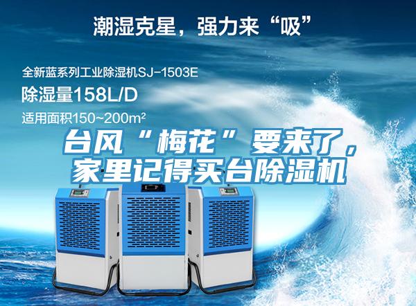臺風“梅花”要來了,家里記得買臺除濕機