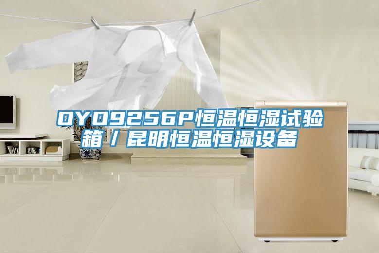 OYO9256P恒溫恒濕試驗(yàn)箱/昆明恒溫恒濕設(shè)備