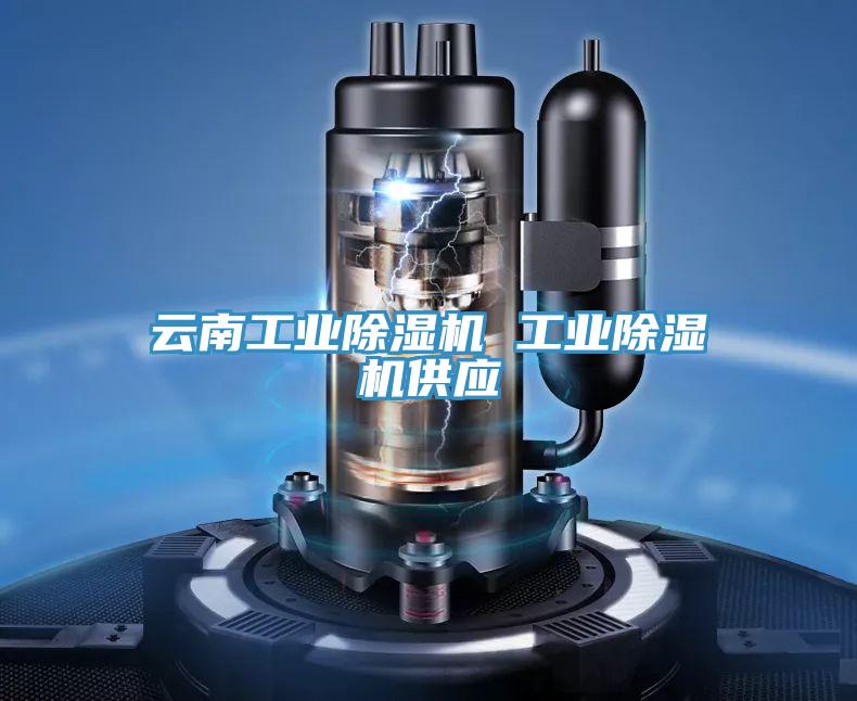 云南工業除濕機 工業除濕機供應