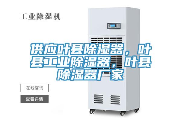 供應(yīng)葉縣除濕器，葉縣工業(yè)除濕器，葉縣除濕器廠家