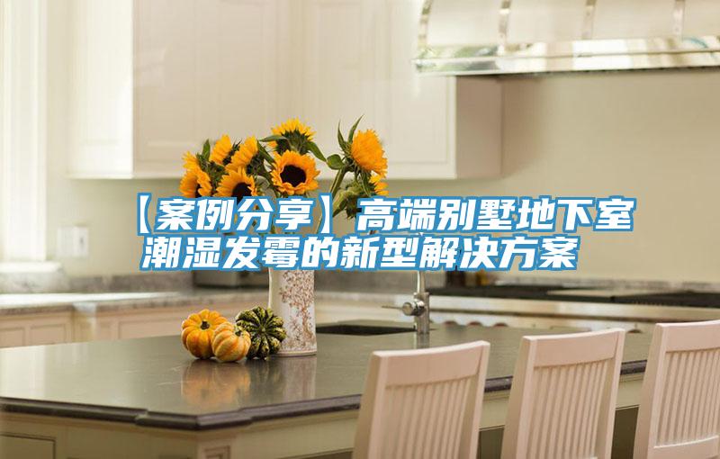 【案例分享】高端別墅地下室潮濕發霉的新型解決方案