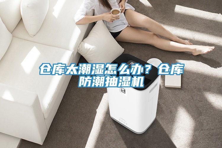 倉(cāng)庫(kù)太潮濕怎么辦?倉(cāng)庫(kù)防潮抽濕機(jī)