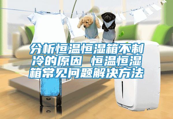 分析恒溫恒濕箱不制冷的原因 恒溫恒濕箱常見問題解決方法