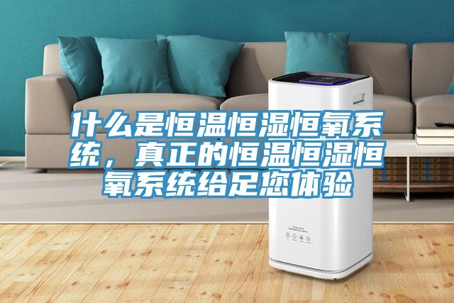 什么是恒溫恒濕恒氧系統，真正的恒溫恒濕恒氧系統給足您體驗