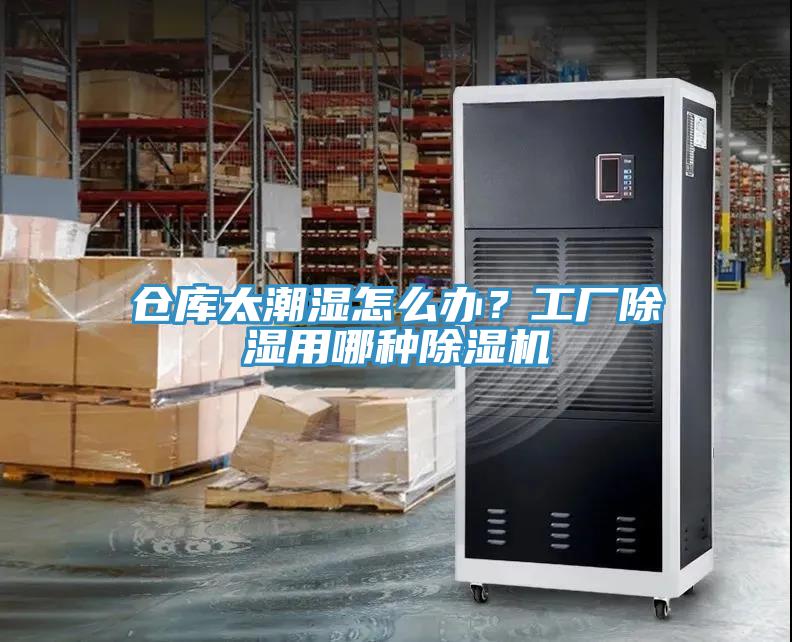 倉(cāng)庫(kù)太潮濕怎么辦?工廠除濕用哪種除濕機(jī)