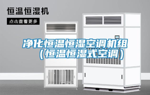 凈化恒溫恒濕空調機組（恒溫恒濕式空調）