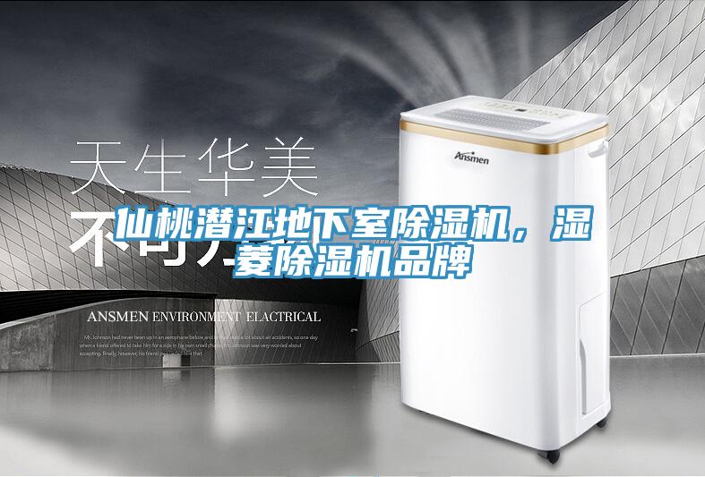 仙桃潛江地下室除濕機，濕菱除濕機品牌