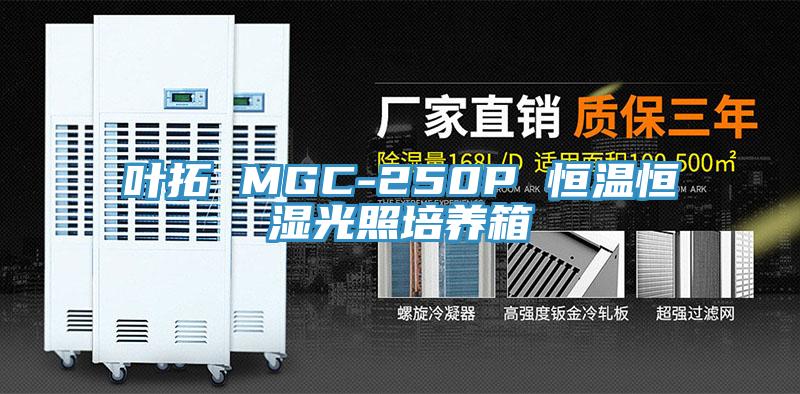 葉拓 MGC-250P 恒溫恒濕光照培養箱
