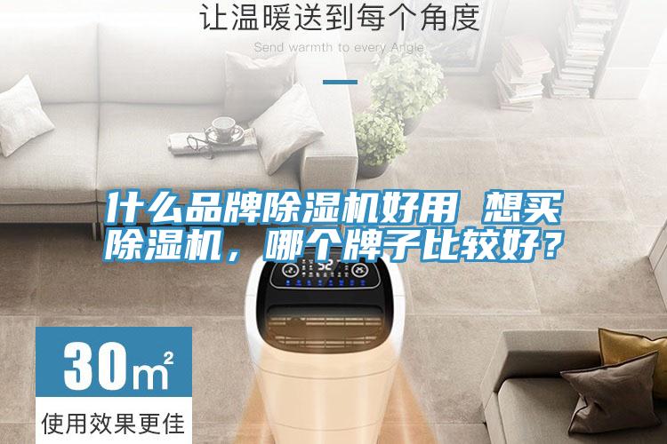 什么品牌除濕機好用 想買除濕機，哪個牌子比較好？