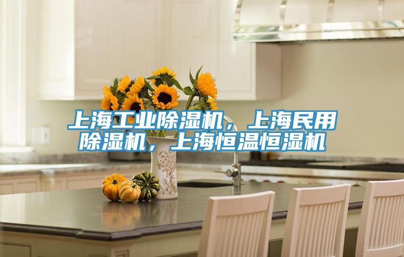 上海工業(yè)除濕機，上海民用除濕機，上海恒溫恒濕機