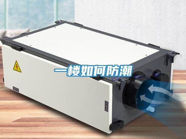 一樓如何防潮