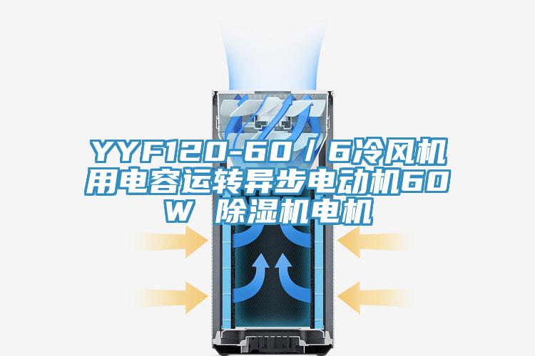 YYF120-60／6冷風機用電容運轉(zhuǎn)異步電動機60W 除濕機電機