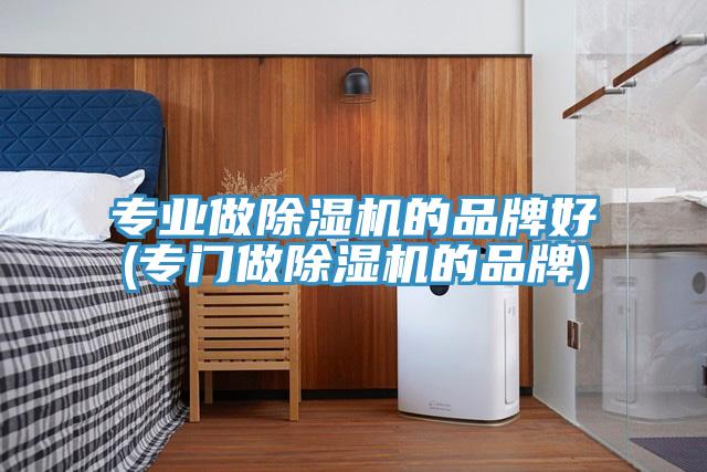 專業(yè)做除濕機的品牌好(專門做除濕機的品牌)