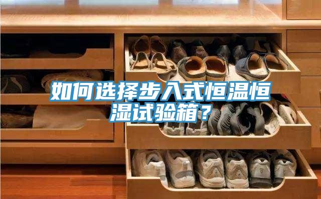 如何選擇步入式恒溫恒濕試驗箱?