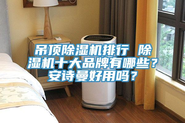 吊頂除濕機排行 除濕機十大品牌有哪些？安詩曼好用嗎？