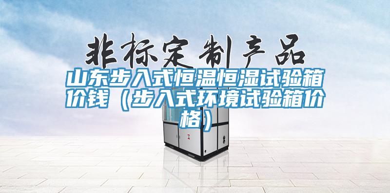 山東步入式恒溫恒濕試驗箱價錢(步入式環(huán)境試驗箱價格)