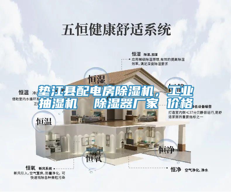 墊江縣配電房除濕機(jī)，工業(yè)抽濕機(jī)  除濕器廠家 價格