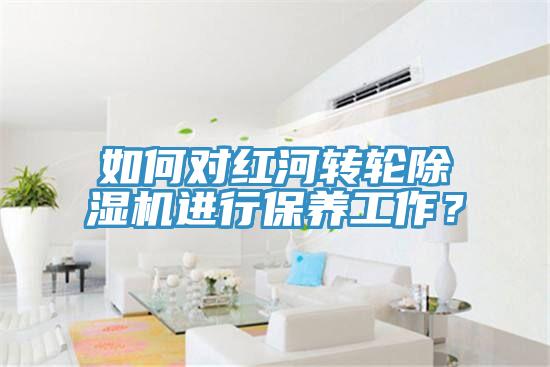 如何對紅河轉(zhuǎn)輪除濕機進(jìn)行保養(yǎng)工作？