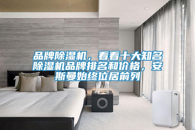 品牌除濕機，看看十大知名除濕機品牌排名和價格，安斯曼始終位居前列