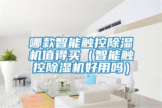 哪款智能觸控除濕機(jī)值得買(智能觸控除濕機(jī)好用嗎)