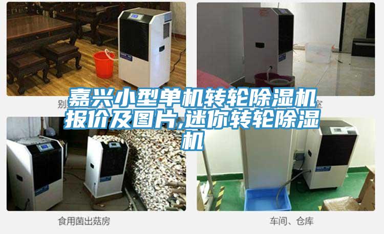 嘉興小型單機轉輪除濕機報價及圖片,迷你轉輪除濕機