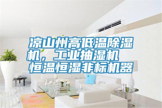 涼山州高低溫除濕機，工業抽濕機  恒溫恒濕非標機器