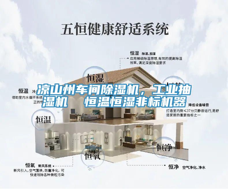 涼山州車間除濕機，工業抽濕機  恒溫恒濕非標機器