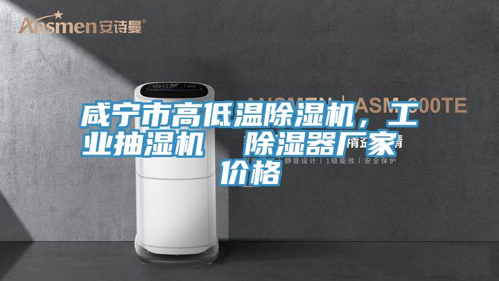 咸寧市高低溫除濕機，工業抽濕機  除濕器廠家 價格