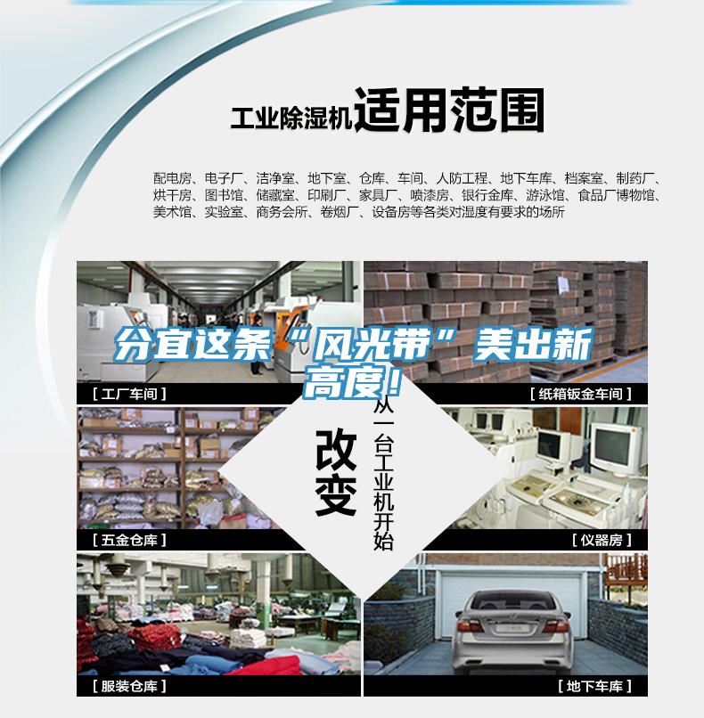 分宜這條“風光帶”美出新高度!