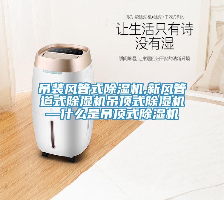 吊裝風管式除濕機,新風管道式除濕機吊頂式除濕機—什么是吊頂式除濕機