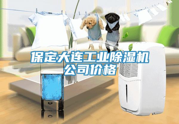 保定大連工業除濕機公司價格
