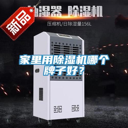 家里用除濕機哪個牌子好？