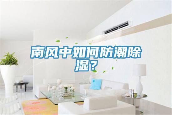 南風中如何防潮除濕？