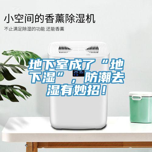 地下室成了“地下濕”，防潮去濕有妙招！