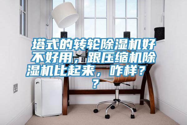 塔式的轉(zhuǎn)輪除濕機好不好用，跟壓縮機除濕機比起來，咋樣？ ？