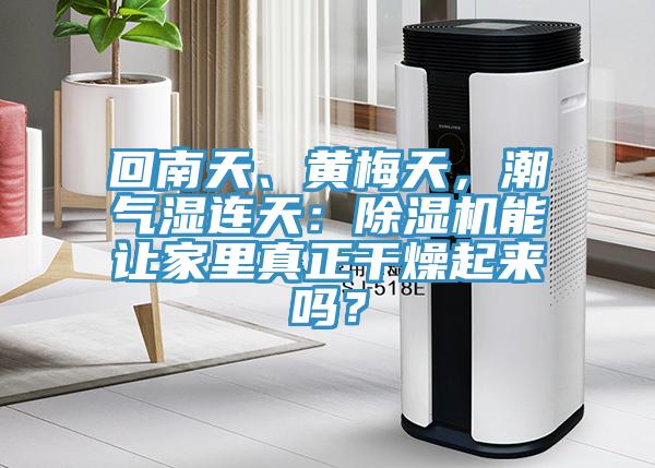 回南天、黃梅天，潮氣濕連天：除濕機(jī)能讓家里真正干燥起來嗎？