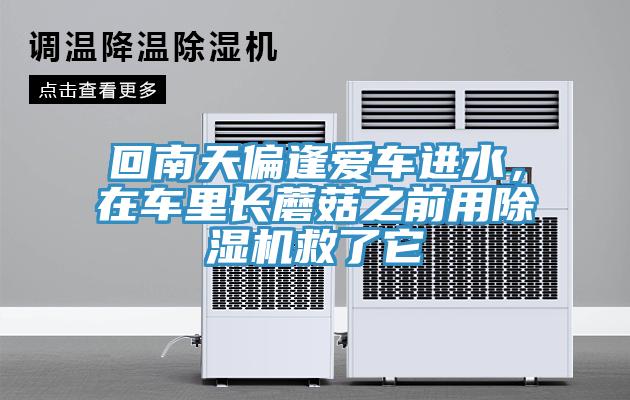 回南天偏逢愛車進(jìn)水，在車?yán)镩L蘑菇之前用除濕機(jī)救了它