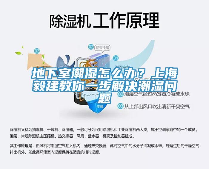 地下室潮濕怎么辦?上海毅建教你一步解決潮濕問題